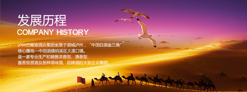发展历程.png